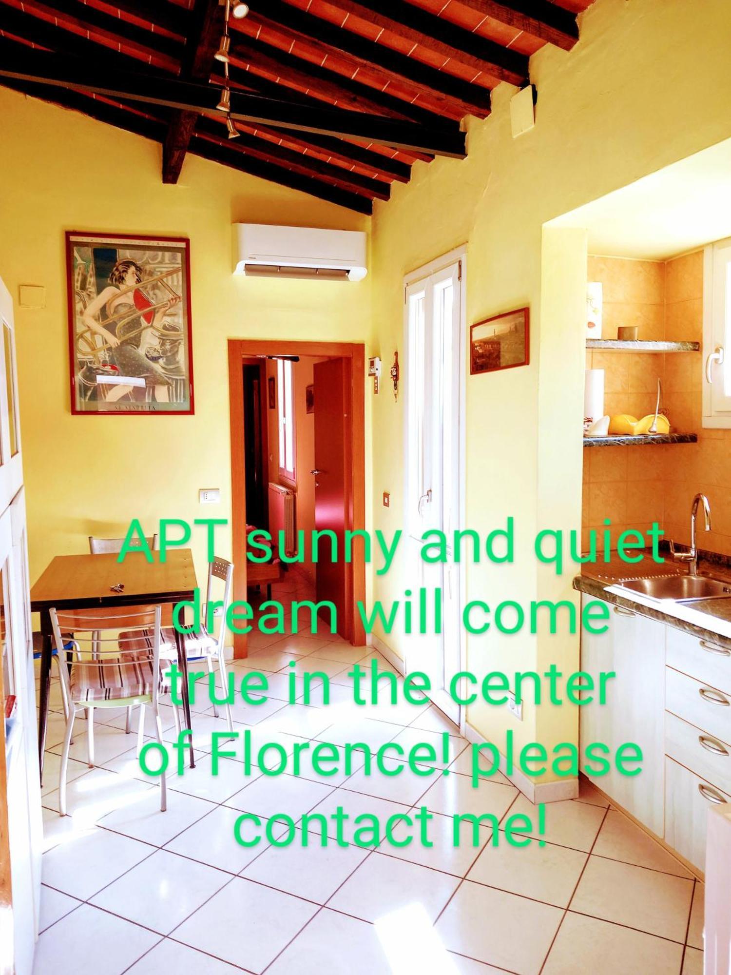 Bright, Quiet! In The Center. Appartement Florence